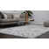 Indoor Rug