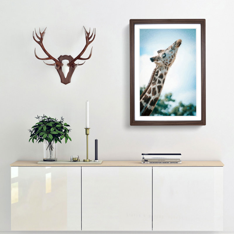 Stretching Giraffe - Framed Print, 48cm H x 36cm W x 2cm D, Walnut Framed