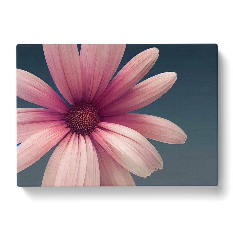 Cute Daisy Flower - Wrapped Canvas, 35cm H x 50cm W x 3cm D