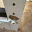 Customer photo 2 of 4