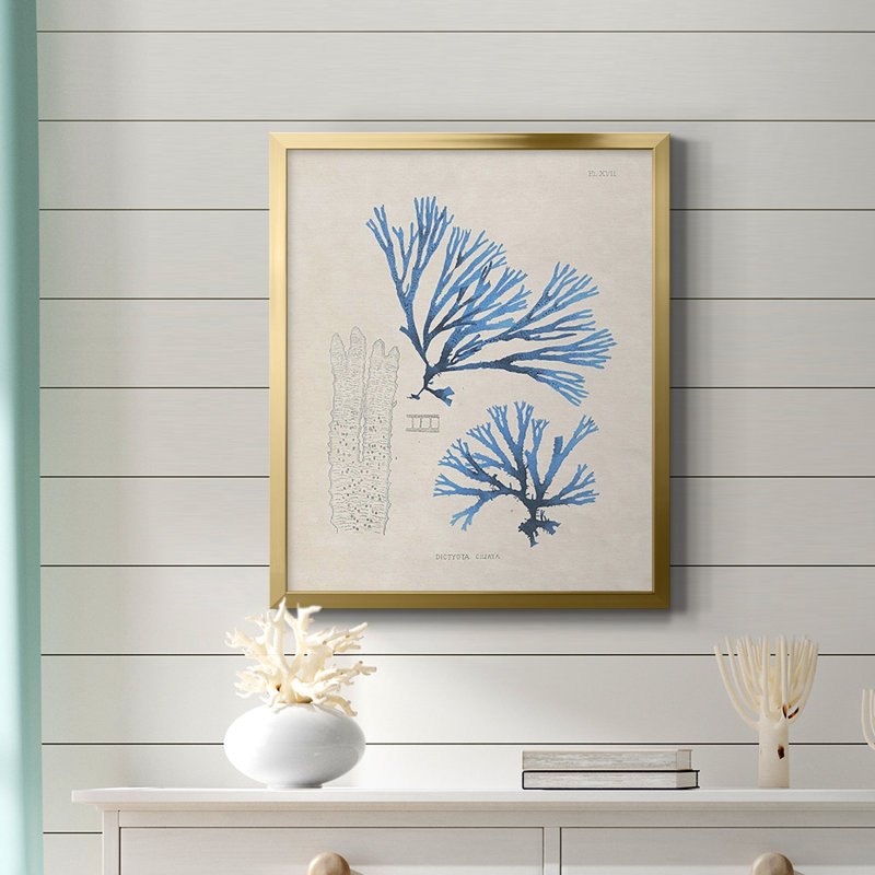 «Blue Marine Algae V», toile encadrée de qualité supérieure - prête à être accrochée, H 20 po x l 16 po, Or