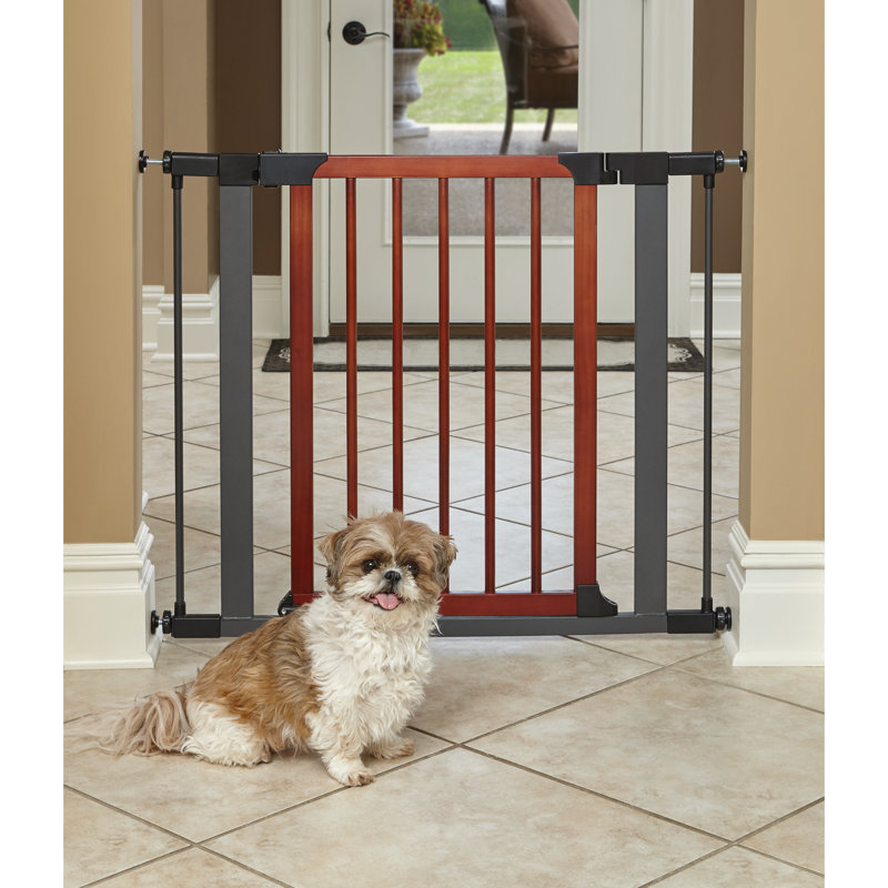 MidWest Homes for Pets Steel Pet Gate w/ Textured Graphite Frame & Decorative Wood Door, 29" H x 38" W x 0.82" D