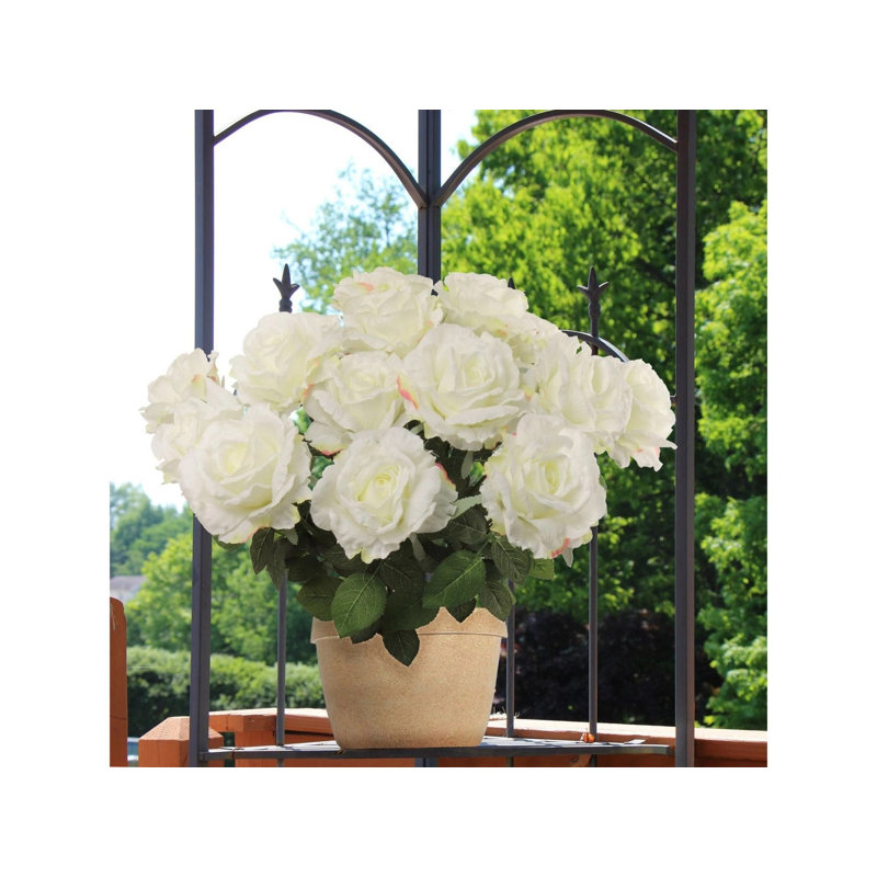 Rosier x 7 fleurs, Crème
