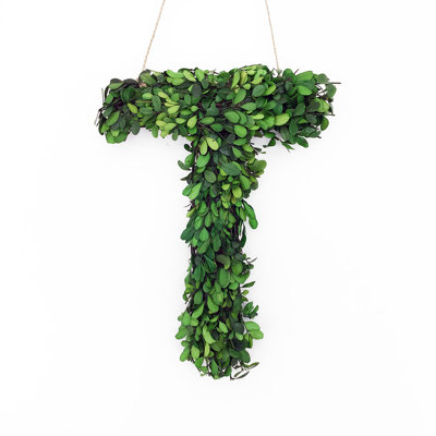 Abarca Preserved Boxwood 8'' Wreath