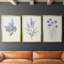 Toile encadrée de qualité lilas botanique - délicat prêt à accrocher-69983084-69983088