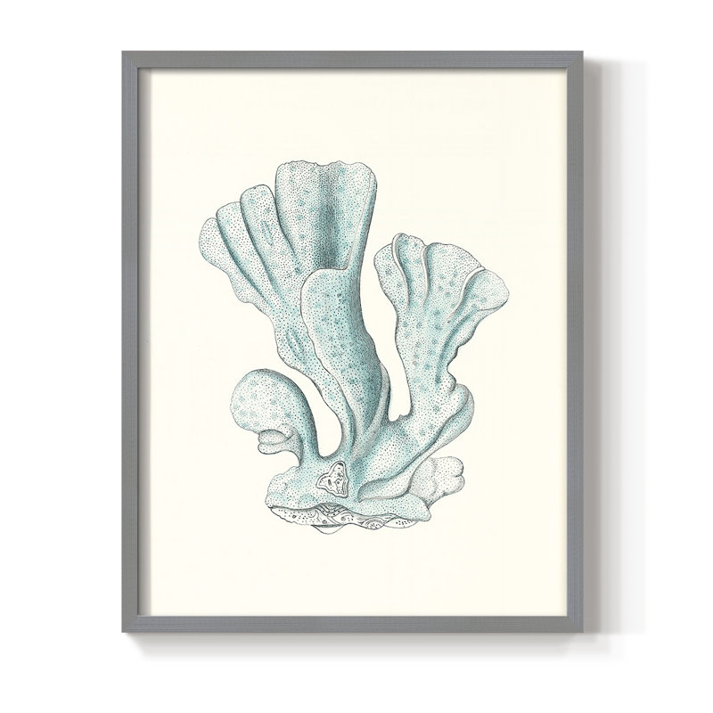 Reproduction encadrée antique de corail de style bord de mer - bois massif, H 10 po x l 8 po, Gris