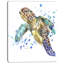 « blue sea turtle illustration », reproduction d’art sur toile tendue-2098795341-2110606385