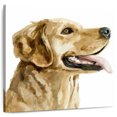 Brampt Pet Profile II