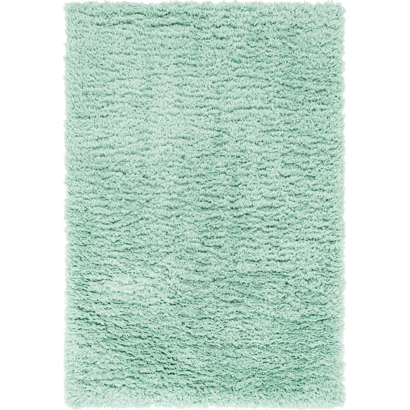 Tapis à poils longs Almanza, Rectangle 4 pi x 6 pi