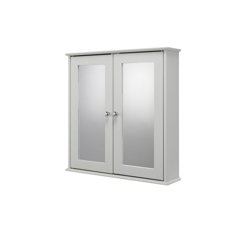 Ashby 560mm W 580mm H Surface Framed Medicine Cabinet Mirror 2 Fixed, Grey