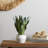  1-Light Bell Pendant-696501072