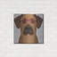 «Rhodesian Ridgeback portant des lunettes de hipster» par les affiliés Furbaby-781655428