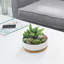 Pot Planter