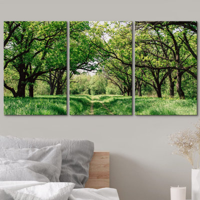 Southern Country Green Forest Tree Trail Nature Wilderness Photography Realism Rustic Landscape