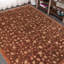 Tapis brun / rouille en laine noué à la main 9 pi 10 po x 13 pi 6 po Tricia