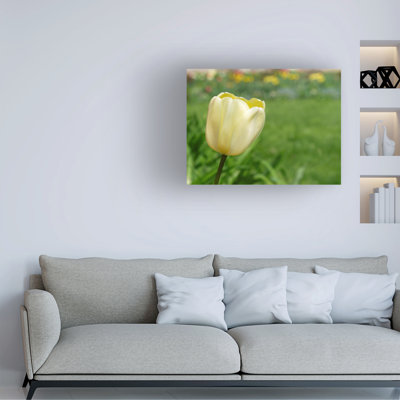 Art sur toile Suzanne Bonin