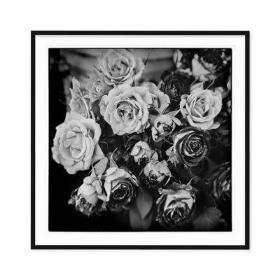 Fading Roses - Picture Frame Photograph on Paper