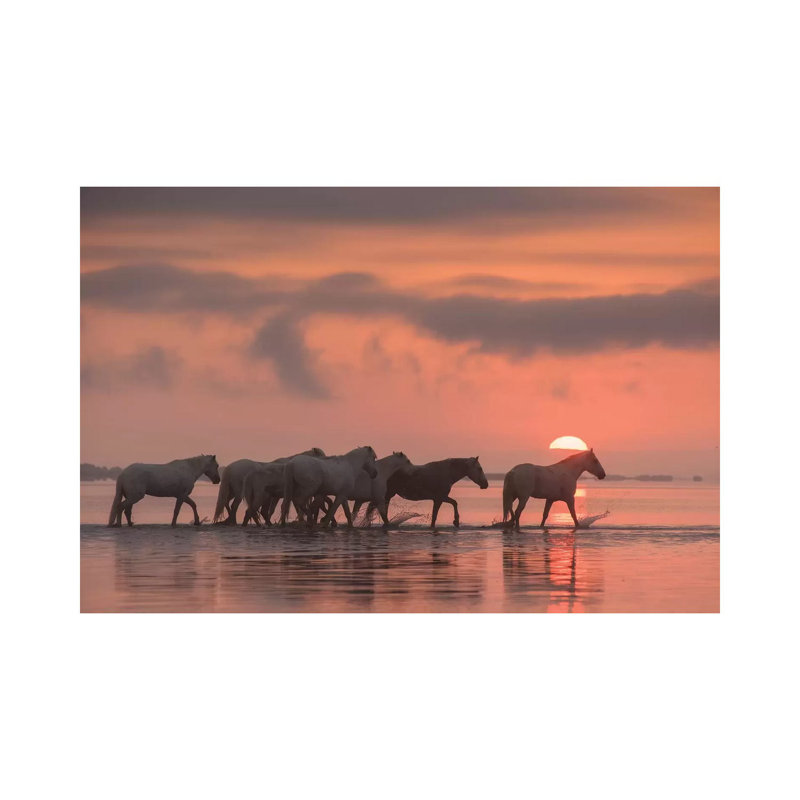 White Angels Of Camargue XI by Daniel Kordan - Wrapped Canvas Print, 20.32 cm H x 30.48 cm W