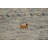 Handmade Gabbeh Oriental Rug 4