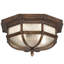 Holland Park 2 - Light Outdoor Flush Mount