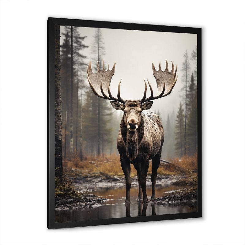 «Aydrianna Brown Moose», impression monochrome sur toile, H 20 po x l 12 po x P 1 po, Cadre photo noir