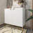 2 Door Accent Cabinet