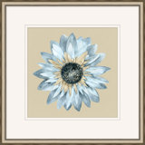 Daisy 6 Print