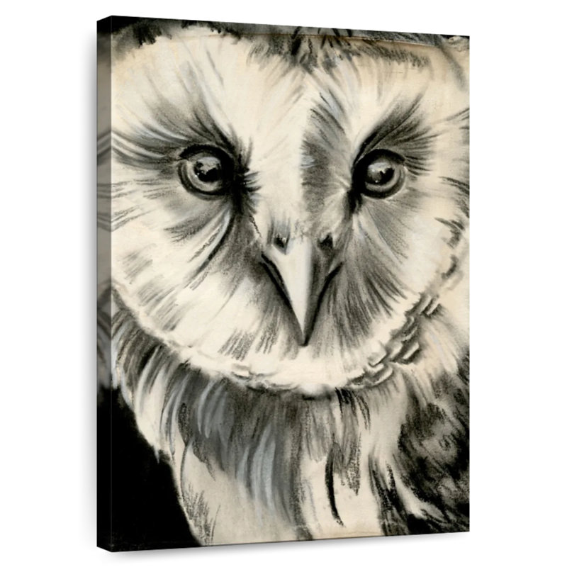 Brampt Charcoal Owl II, 39" H x 26" W