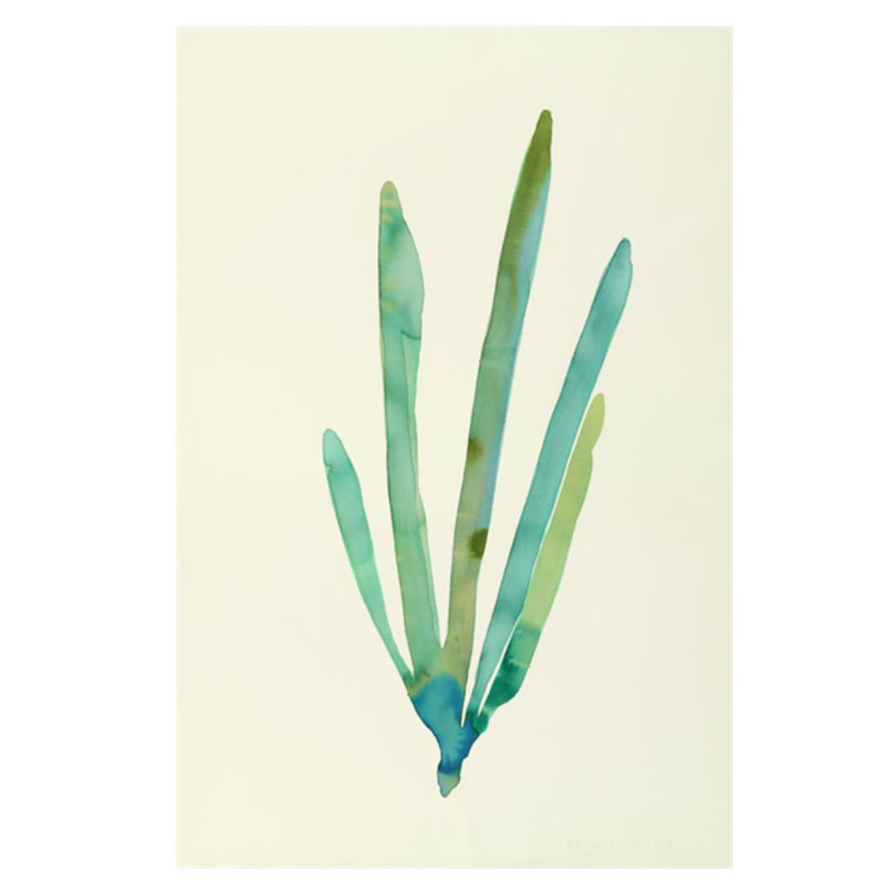 Plants VI par Hable Construction - impression, Couche de verre, H 36 po x l 24 po x P 1,5 po