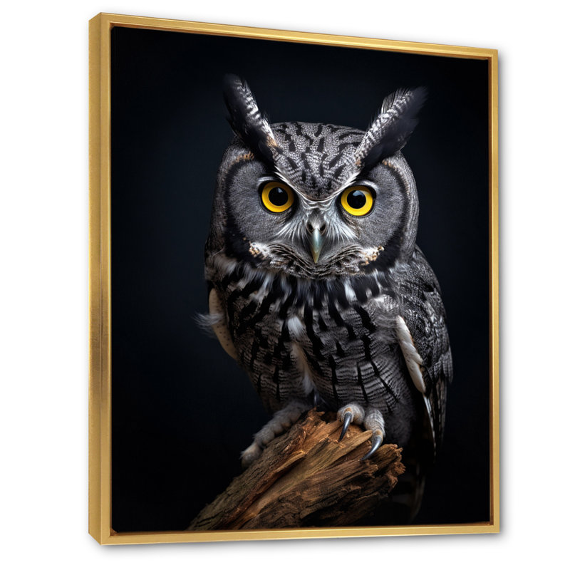 «Black», Curious Eyes Owl II - impression d'art mural hibou, H 32 po x l 24 po x P 1 po, Cadre flottant doré
