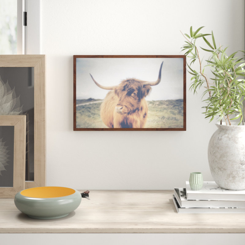 Parvez Taj - Single Picture Frame Print, 41cm H x 61cm W x 3.81cm D