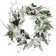 Northlight Iced White Poinsettia Artificial Christmas Wreath - 22 inch ...