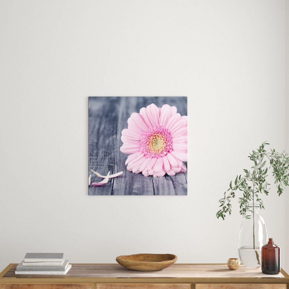 Leinwandbild Pink Gerbera on Rustic Background