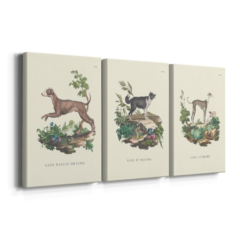 «French Dogs I» - Toile tendue avec châssis sur mesure - 3 pièces, H 12 po x l 24 po