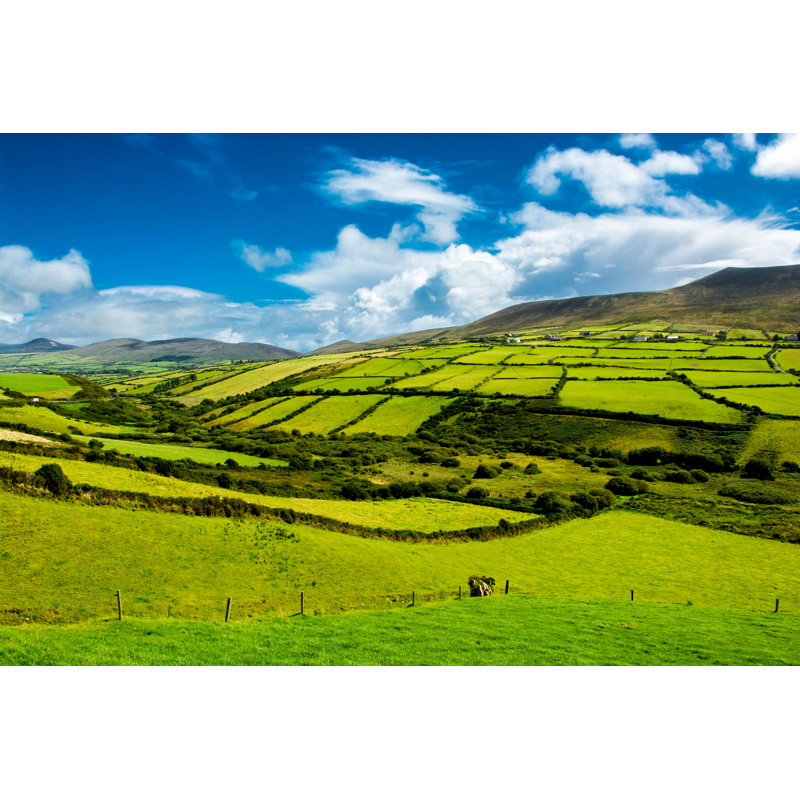 Pastures In Ireland by Grafxart8888 - Wrapped Canvas Print, 30cm H x 46cm W