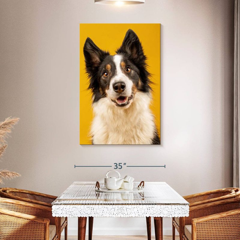 Brampt Adorable Border Collie, 48" H x 32" W
