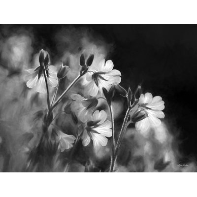 «Black and White Flowers», reproduction par Lori Deiter (24 x 18) # DL2112