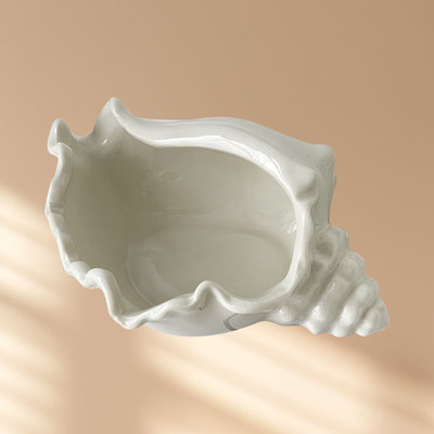 Plateau de bijoux en forme de coquille de conque blanche