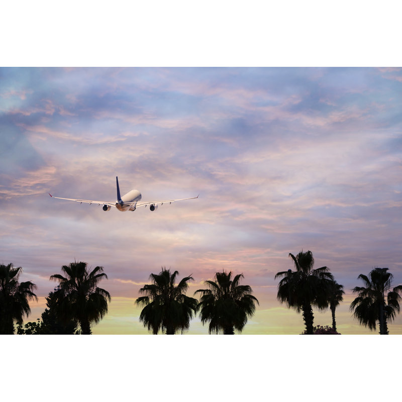 Passenger Airplane by Guvendemir - Wrapped Canvas Print, 51cm H x 76cm W