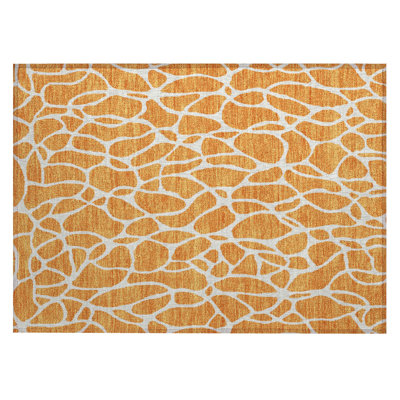  Machine Washable Indoor/Outdoor Chantille ACN1024 Rug