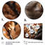 Rahson Grey Squirrel Squirrels, reproduction d'art sur toile-559994557-559994499