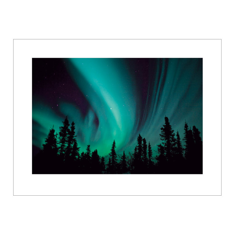 No Frame Print
