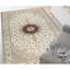 Elegance Oriental Area Rug
