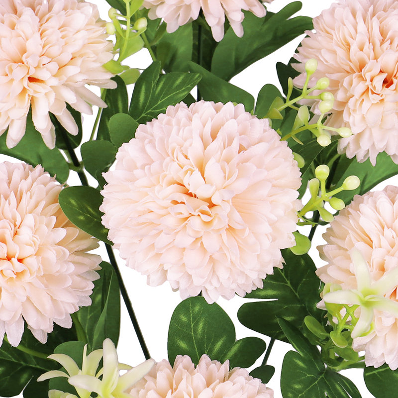 Pom Pom Mum Flower, Rose