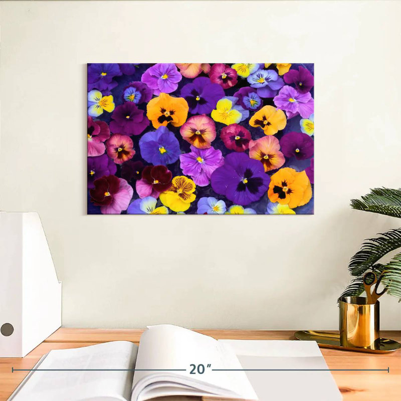 Couleurs Harnek Pansy, H 8 po x l 12 po
