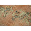 Tapis à motif floral délavé 6 x 10