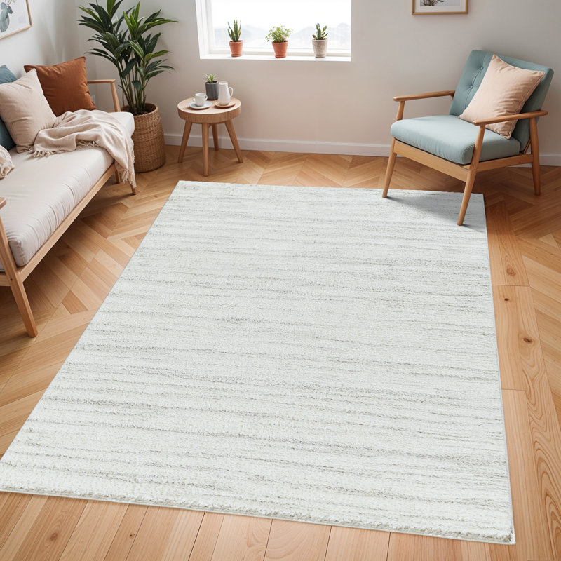 Lizan Shag Area Rug, Rectangle 200cm x 275cm