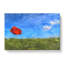 Red Poppy Flower Vol.2 - Wrapped Canvas-61837104