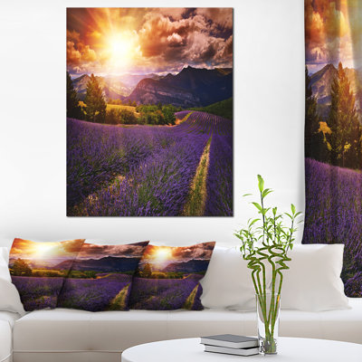 " Beautiful Sunset Over Lavender Field "