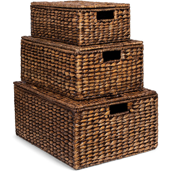 BirdRock Home 3 Piece Seagrass Basket Set & Reviews | Wayfair